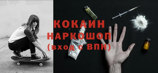 гашик Арсеньев